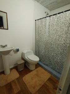 a bathroom with a shower and a toilet and a sink at Hotel Tierra Verde in Bocas del Toro