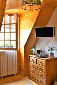 sala de estar con TV y pared de madera en L'Etang de la Gourdinière, en Landisacq