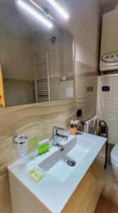 a bathroom with a sink and a mirror at Brain Residence Laceno in Villaggio Laceno