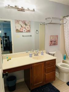a bathroom with a sink and a toilet and a mirror at San Antonio Comfort 4 Bedroom 3 Bath home 5 Mins from Sea World in San Antonio