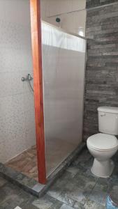 y baño con aseo y cabina de ducha. en El salto, en Puerto Aysén