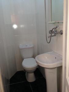 a bathroom with a toilet and a sink at Rimma Homestay in Tbilisi City