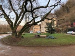 a tree in a park with a bench and a building at Appartement RDC dans jolie parc Arboré in Beure