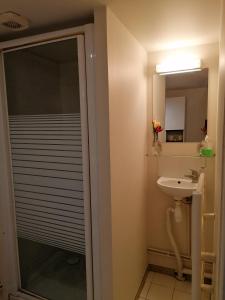 een badkamer met een douche en een wastafel bij Superbe studio proche de toutes commodités in Franqueville-Saint-Pierre