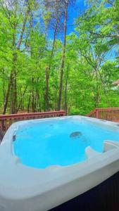 einen großen Whirlpool in einem Garten mit Bäumen in der Unterkunft Emerald Cabin W/Hot tub, Firepit, Lake, Skiing in Basye