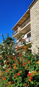 a bush of red flowers in front of a building at Sea and Sunshine in Tivat