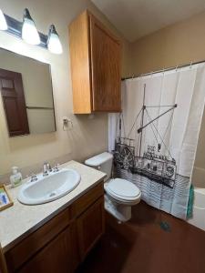 La salle de bains est pourvue d'un lavabo, de toilettes et d'un rideau de douche. dans l'établissement Cotton Port on the Ouachita River, à West Monroe