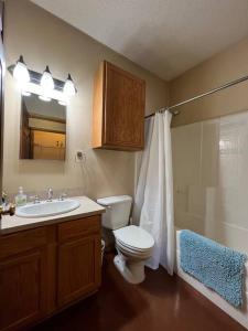 ein Bad mit einem WC, einem Waschbecken und einer Dusche in der Unterkunft Cotton Port on the Ouachita River in West Monroe