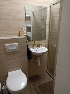 a bathroom with a toilet and a sink and a shower at Villa Fonyód in Fonyód