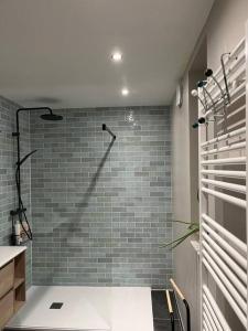 een badkamer met een douche en een bakstenen muur bij Dépendance campagne Rouennaise in Belbeuf