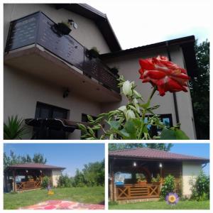 a collage of pictures of a house and a rose at PIATRA ROSIE Pensiune Agroturistică in Niculiţel