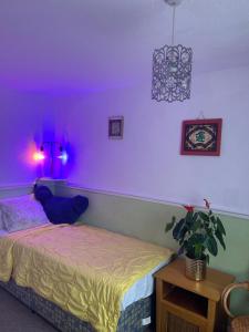 um quarto roxo com uma cama e uma mesa com uma planta em LN host em Rockingham