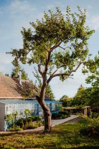 uma árvore na relva em frente a uma casa em Country house Harmonia em Modra