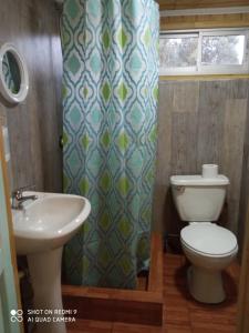 La salle de bains est pourvue de toilettes et d'un lavabo. dans l'établissement Familiar Hostal, à Chillán