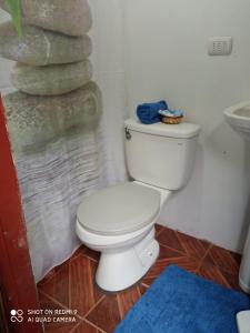 a bathroom with a toilet and a stack of rocks at Familiar Hostal in Chillán