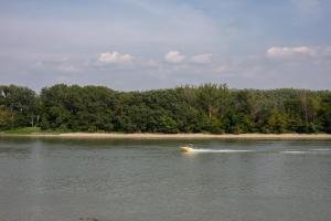 un barco está en el agua cerca de una playa en KupolaVilla-Apartment-Event house by the Danube river-Buda en Budapest
