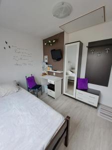 a bedroom with a bed and a mirror and a desk at Soba Erika in Fužine