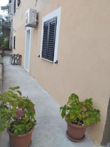 two potted plants sitting next to a building with a window at Apartman "Borićevac" in Sinj