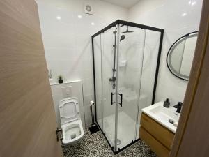 ein Bad mit einer Dusche, einem WC und einem Waschbecken in der Unterkunft Apartman "Borićevac" in Sinj