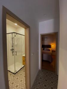 ein Bad mit einer Dusche und ein Zimmer mit einem Bett in der Unterkunft Apartman "Borićevac" in Sinj