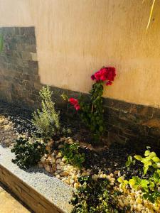 a garden with flowers and rocks next to a wall at Villa Silia in Sharm El Sheikh