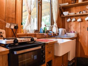 a kitchen with a stove and a sink at Wampford Woodland Retreat - George Cabin in George Nympton