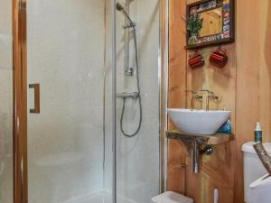 a bathroom with a shower and a sink at Wampford Woodland Retreat - George Cabin in George Nympton