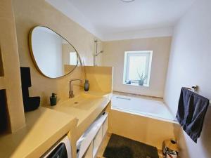 蒙布舍叙尔雅布龙Le gîte de la marquise - Elégant appartement avec terrasse -的浴室里有洗手池和镜子 更多9张照片