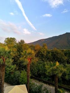 a view from a resort with palm trees and a mountain at Agriturismo Da Andreina in Borso del Grappa