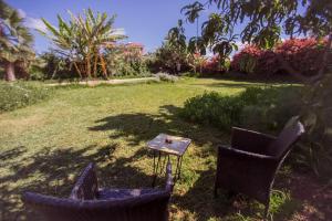 two chairs and a table in a yard at Espacio Antares in Icod de los Vinos