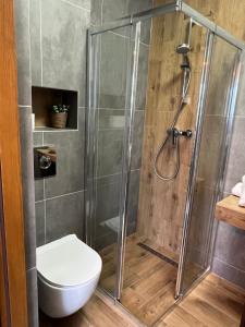 a shower stall with a toilet in a bathroom at Apartamenty u Petuski in Szaflary