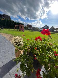a group of flowers in pots on a patio at Apartamenty u Petuski z Jacuzzi in Szaflary