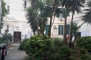 a courtyard with palm trees and a building at Cozy flat in Testaccio in Rome