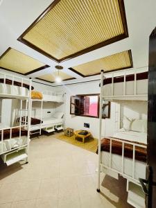 a dorm room with bunk beds and a large skylight at Tamraght White Hostel in Tamraght Ouzdar