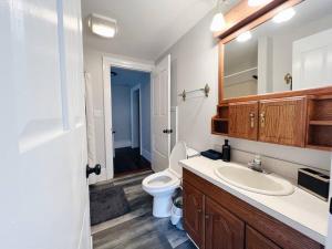 ein Badezimmer mit einem weißen WC und einem Waschbecken in der Unterkunft Historic American Farmhouse 1870 - 10 miles from Cherry Springs! in Coudersport