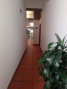 a hallway with a tile floor and a plant at HOGAR DE PASO GUARACAO in Bucaramanga