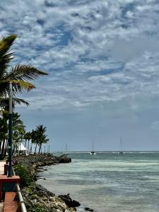 une plage avec des palmiers et des bateaux dans l'eau dans l'établissement Superbe Duplex résidence privée et piscine, à Saint-François