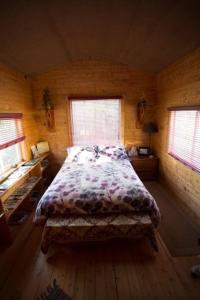 a bedroom with a bed and two windows at Triple B Bed n Breakfast in Whitehorse