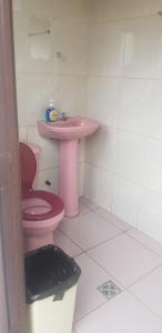 a bathroom with a pink toilet and a sink at Expresso Hostel in Sucre