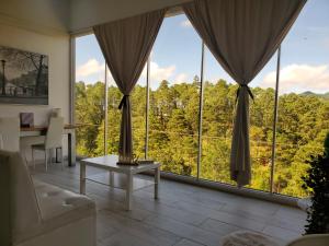 ein Wohnzimmer mit einem großen Fenster mit Blick auf die Bäume in der Unterkunft Vita Mountain Lodge in Santa Lucía