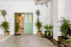 a hallway with potted plants and a green door at REGIOTITLAN-PARQUE FUNDIDORA in Monterrey