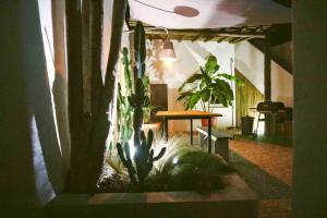 a living room with a plant in a window at Sopas e Descanso in Grândola