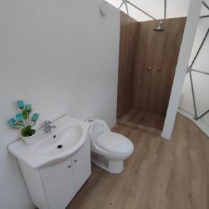 W łazience znajduje się toaleta, umywalka i prysznic. w obiekcie Sky Lodge Domes Cusco w Cuzco