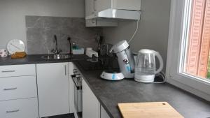 a kitchen with a counter with a blender on it at Cassiopée avec jardin in Fleury-les-Aubrais