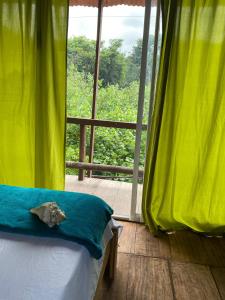 a cat laying on a bed in front of a window at Hostal velero relax in Santa Marta