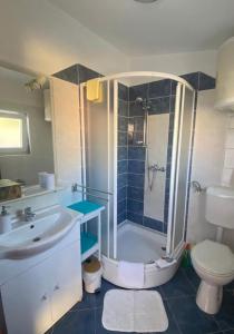 W łazience znajduje się prysznic, umywalka i toaleta. w obiekcie Apartments by the sea Sali, Dugi otok - 8110 w mieście Sali