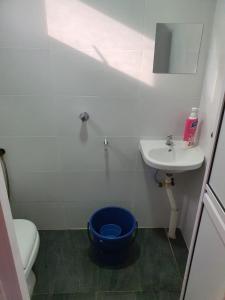 ein Badezimmer mit einem blauen WC und einem Waschbecken in der Unterkunft TIGA PENARIK 500m away to Penarik Jetty to Pulau Redang in Kampong Ru Sepuloh