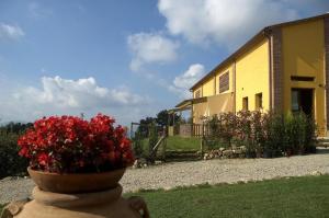 Zahrada ubytování Agriturismo La Burraia vicino a San Gimignano