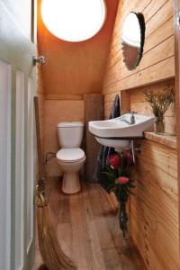 bagno con servizi igienici e lavandino di The Cloud House Hampton - Rustic Alpine Retreat a Lowther