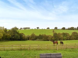 two horses standing in a field near a fence at Mount Cottage in Wennington